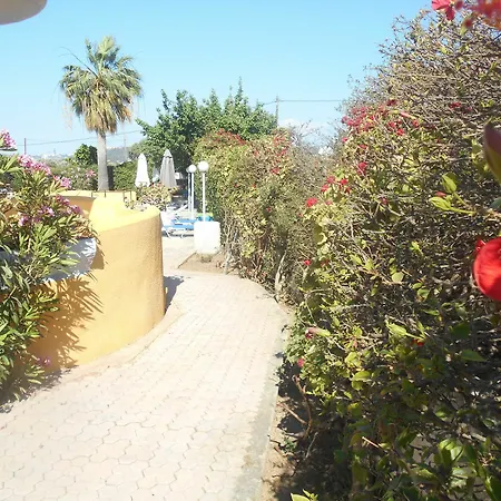Sofia 4* Lalyssos
