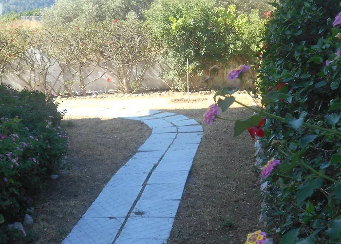 Sofia יאליסוס