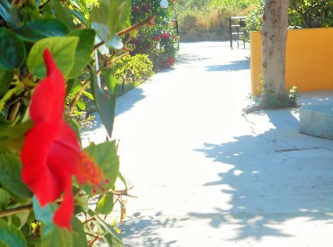 Sofia יאליסוס