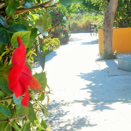 Sofia Ialysos (Rhodes)