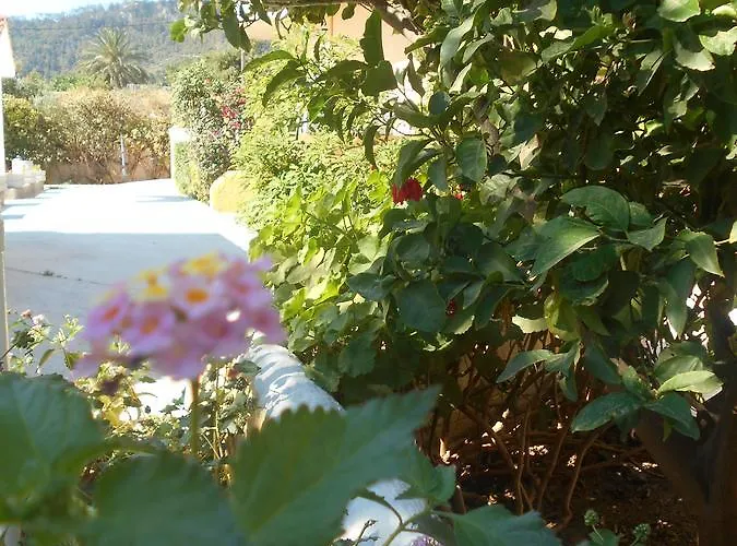 شقة فندقية Sofia إياليسوس