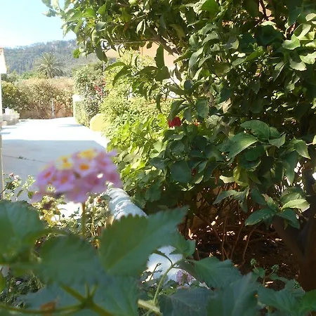 מלון דירות Sofia יאליסוס